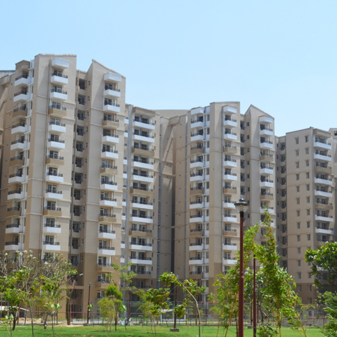 Hive Infra | Stellar Jeevan